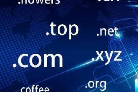 拉薩網(wǎng)站建設(shè)常見問題之什么是域名？如何購(gòu)買和選購(gòu)域名？